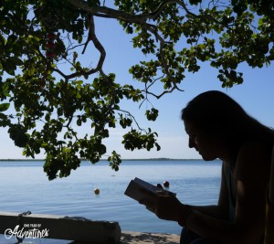 Un peu de lecture